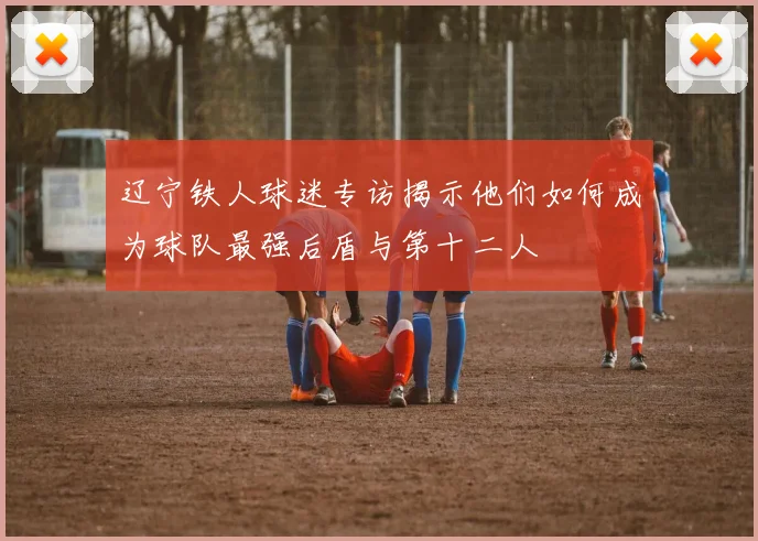 辽宁铁人球迷专访揭示他们如何成为球队最强后盾与第十二人